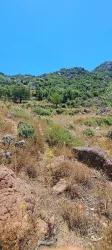 Feld Zu verkaufen in Selimiye Bz. Marmaris - Feld-Zonierung - 773 m²