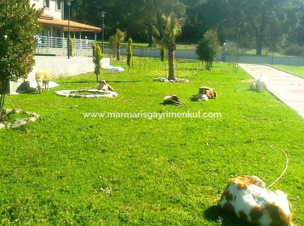 Gebaut Auf Einem Grundstück Von 7000M2 In Marmaris, 8 Zimmer, Haus Ranch Pool