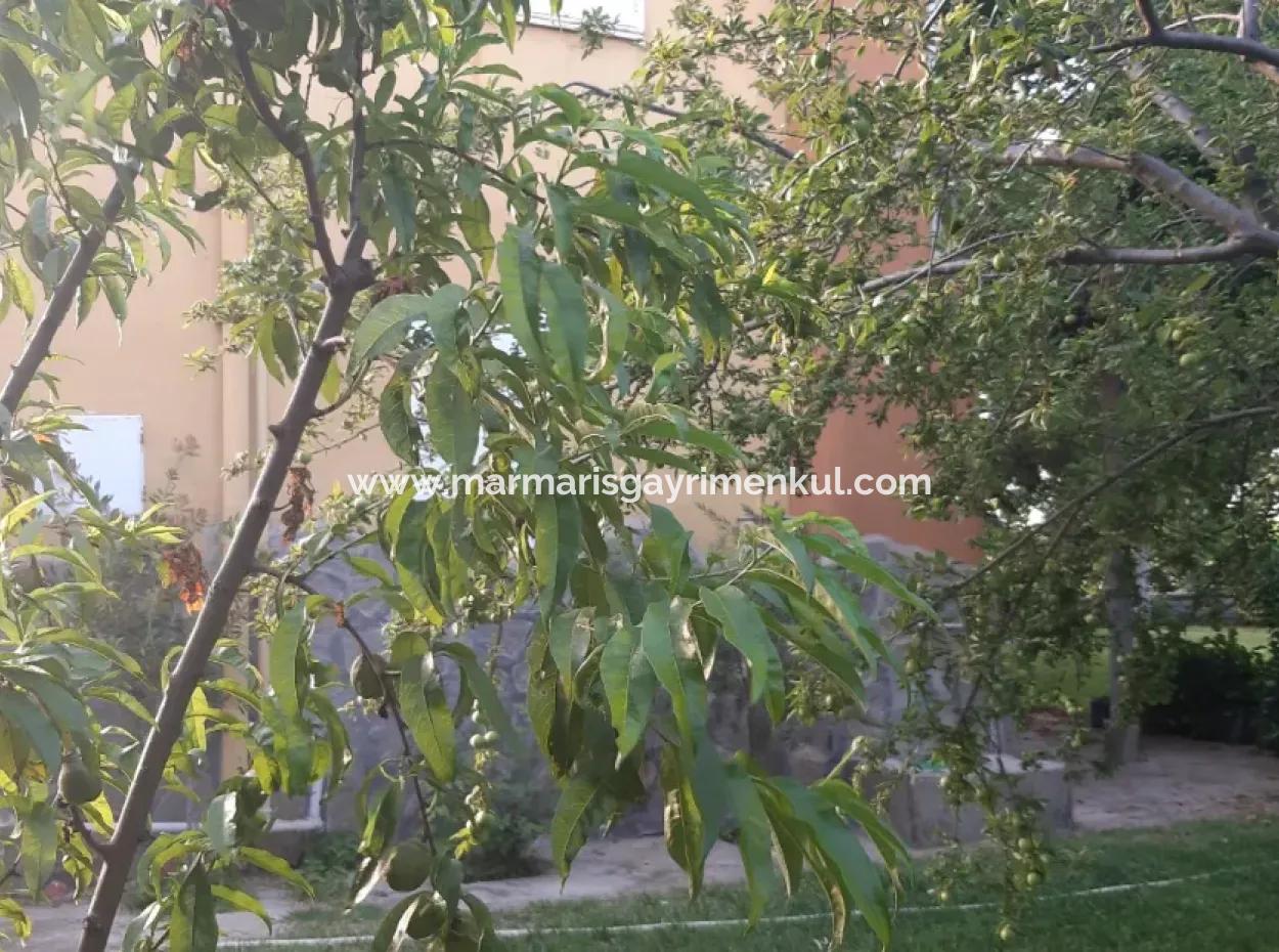 Manisa Präfektur Alasehir Bezirk 19000M2 Traubenfrierungsbetrieb Zum Dringenden Verkauf