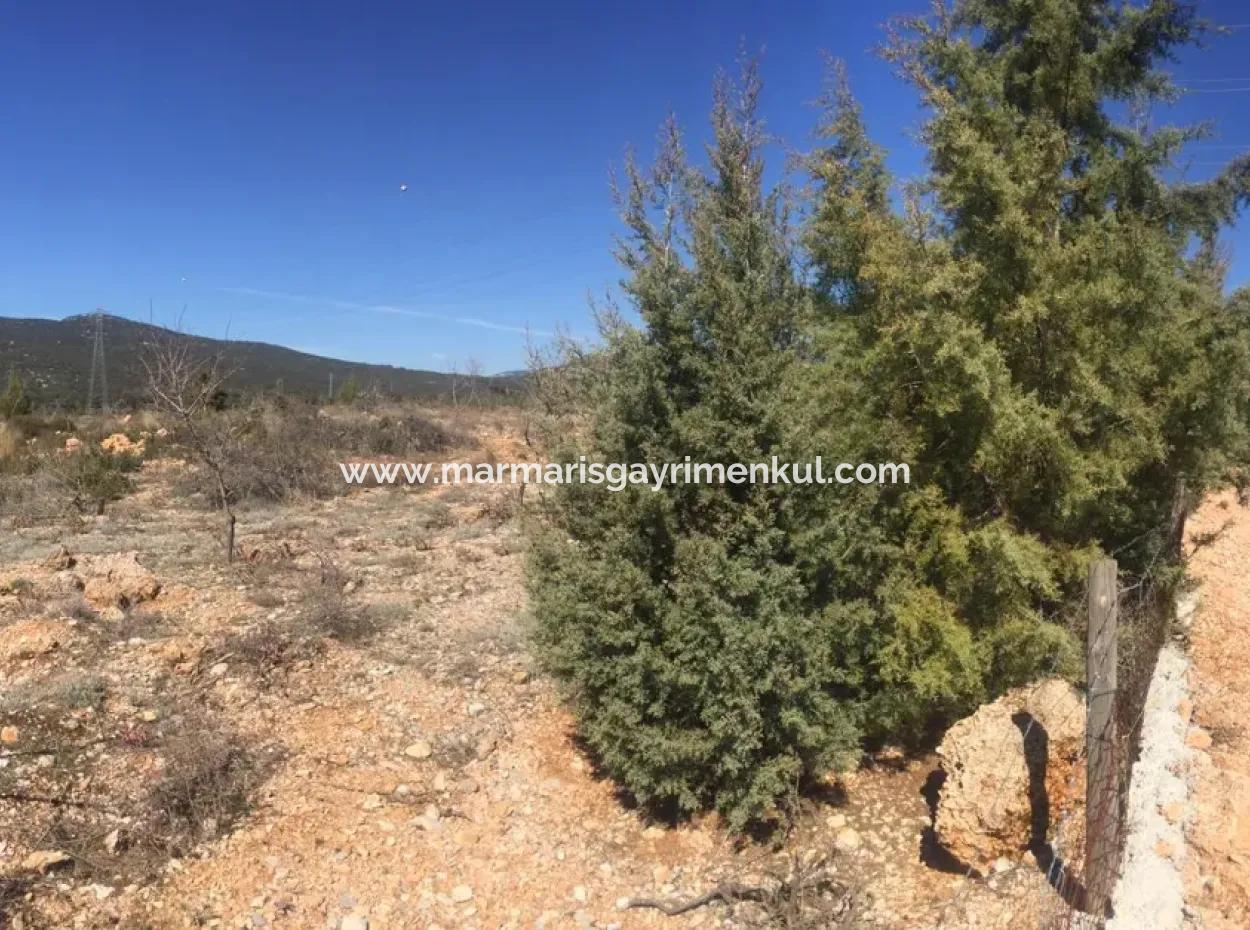 Der 200000M2 Mandelgarten Steht Im Zentrum Von Mugla Zum Verkauf.