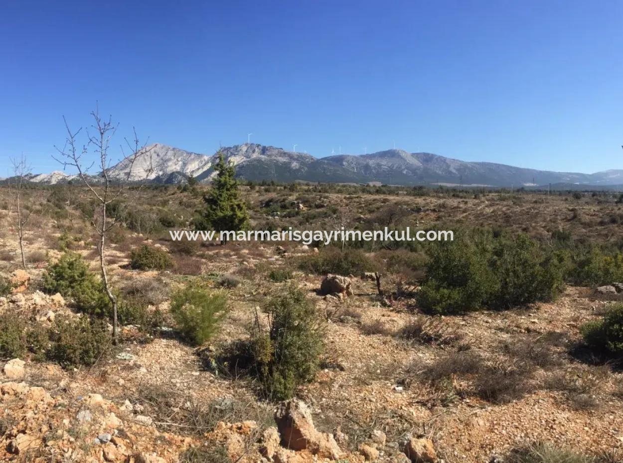 Der 200000M2 Mandelgarten Steht Im Zentrum Von Mugla Zum Verkauf.