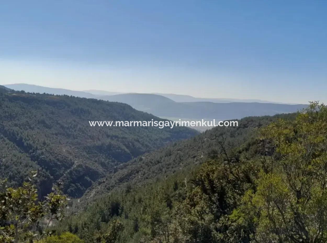 Der 200000M2 Mandelgarten Steht Im Zentrum Von Mugla Zum Verkauf.
