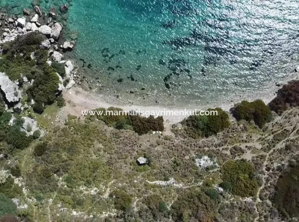 Feld Zum Verkauf Im Dorf Marmaris Söğüt Mit 500 M2 Meerblick 20 Meter Zum Meer