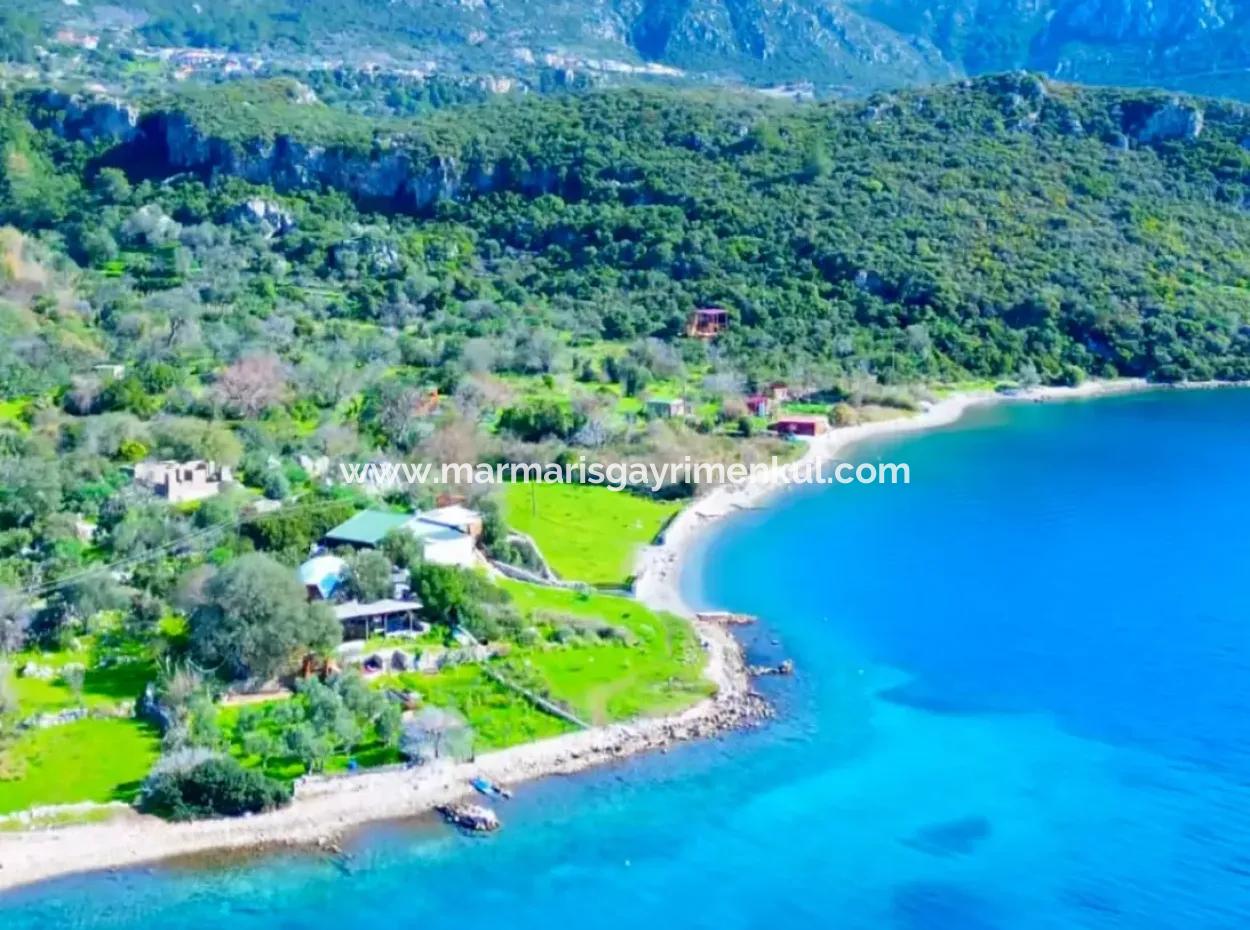 Marmaris Söğüt Dorf 378M2 Geeignet Für Investitionen Am Meer 378M2 Feld Zu Verkaufen