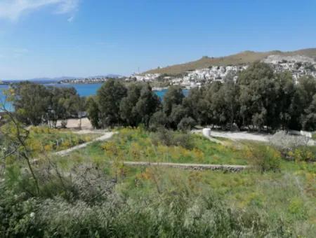 Grundstück Zu Verkaufen Mit 4000M2 Touristischen Entwicklung Am Meer In Bodrum Akyarlar