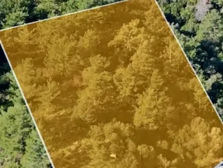 Marmaris Bezirk Turunc Nachbarschaft Meer 2354M2 Grundstück Zum Verkauf