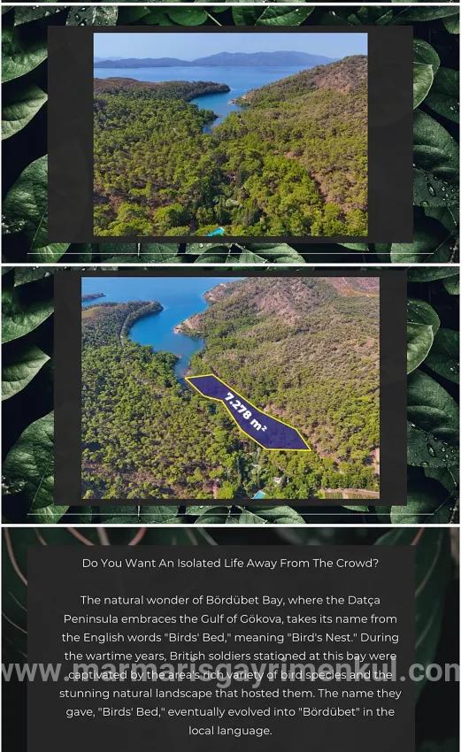 Marmaris Bördübet bay In 7200 m² canal front for sale land