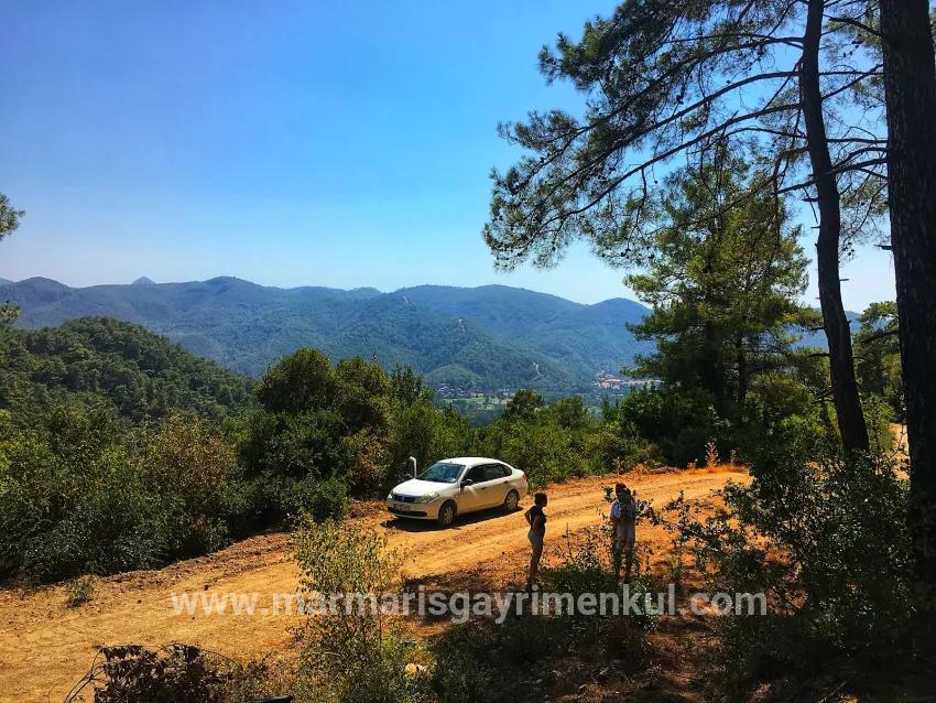 In Marmaris Çetibelinde within the forest 13,500 m2 Private usage area