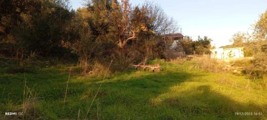 1186 M2 Plot Of Land For Sale In Akyaka, 8 Km Away, With A Planned 15-room Villa Project.