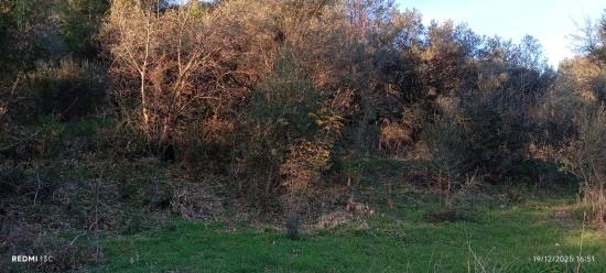 1186 M2 Plot Of Land For Sale In Akyaka, 8 Km Away, With A Planned 15-room Villa Project.