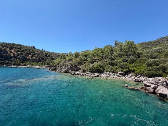 Marmaris Turunç cove with sea zero 4700 m2 controlled usage area