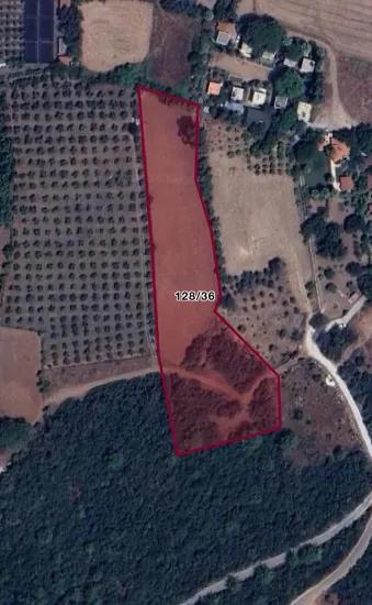 Marmaris Pine village In my village Is very close to the sea 7000m2 land suitable for Investment