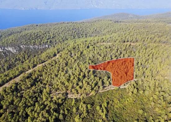 In Marmaris Çetibelinde within the forest 13,500 m2 Private usage area