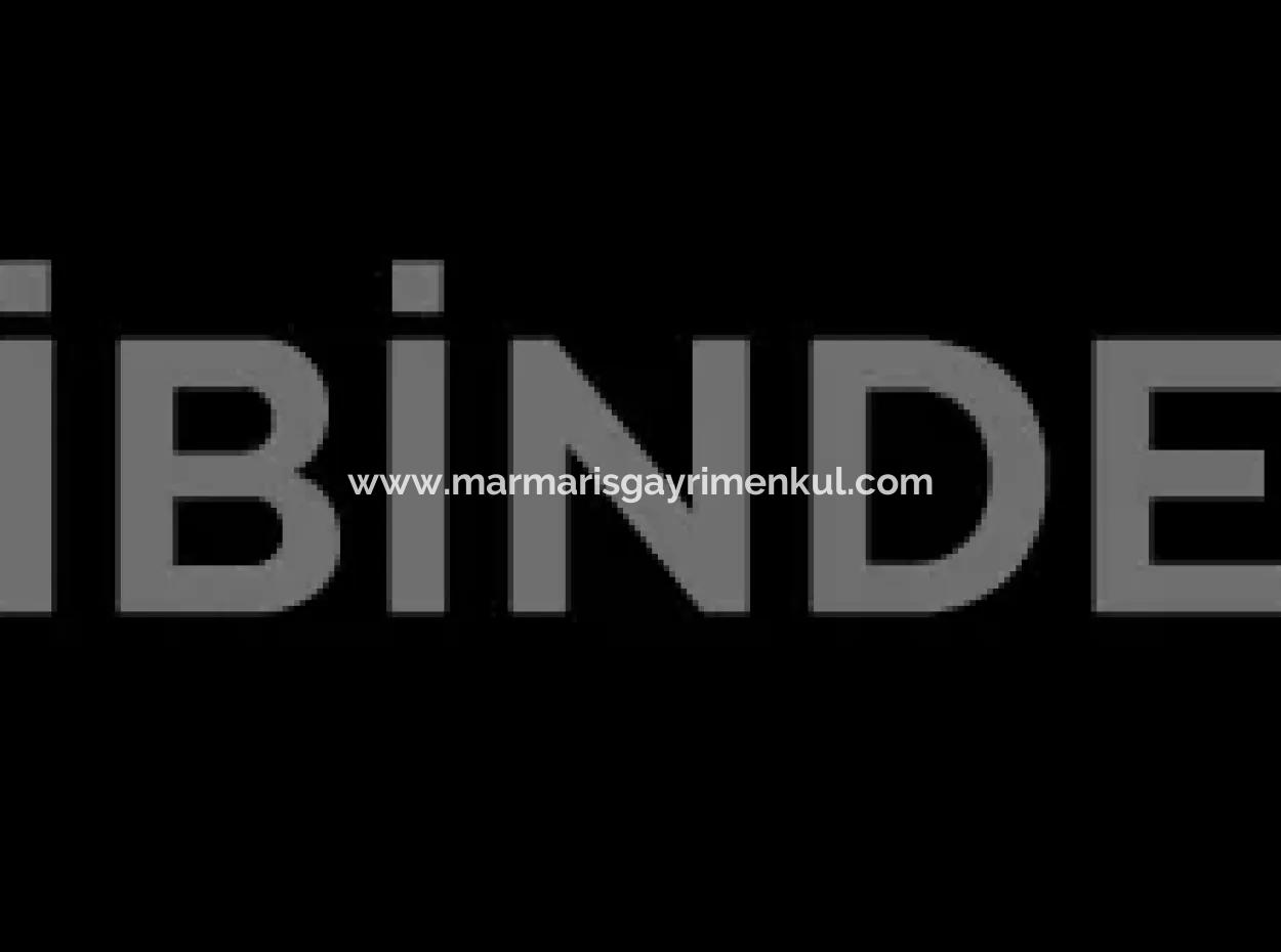 Garden For Sale In Mugla Region 880000M2 Walnut