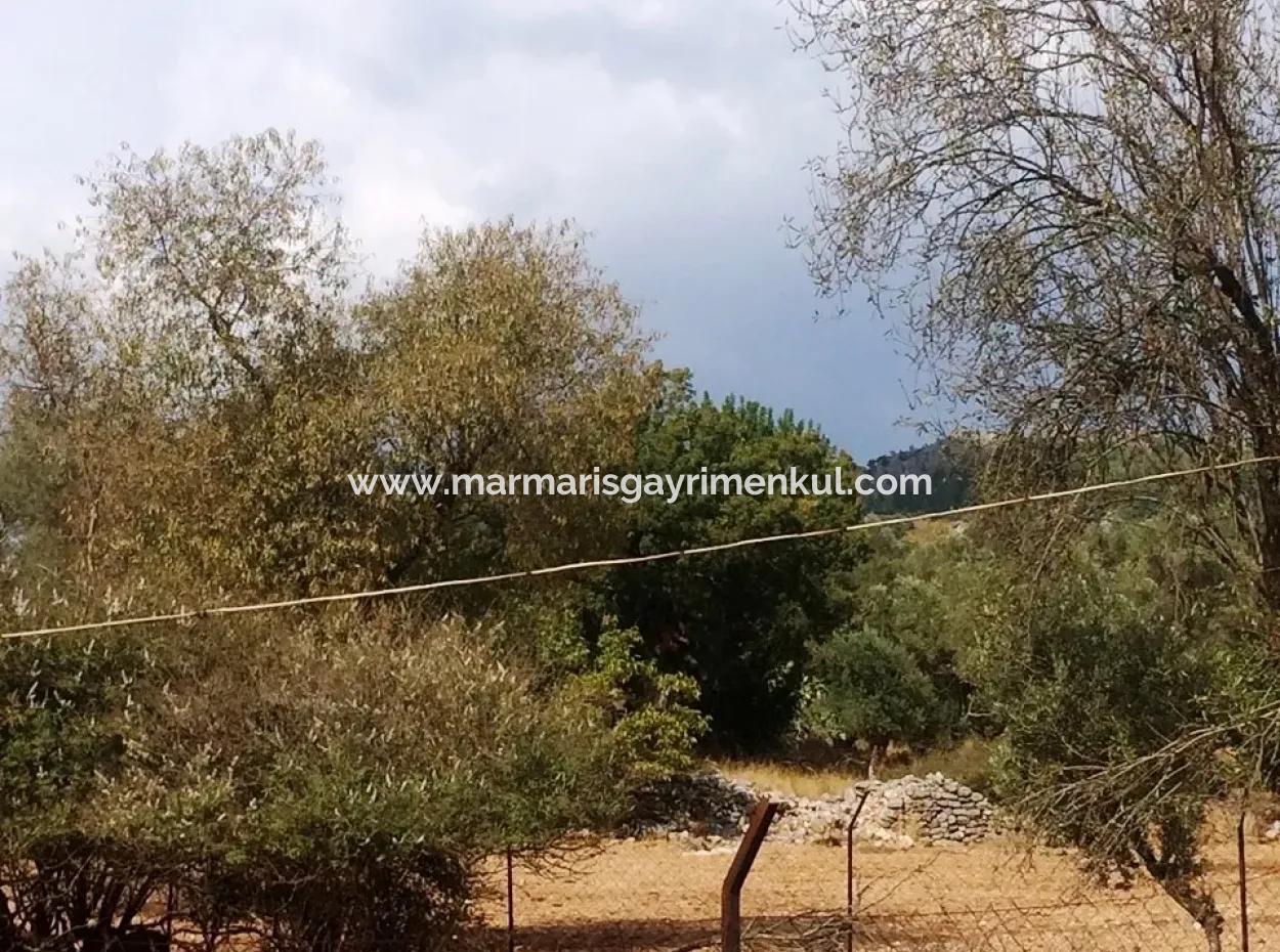 Orhaniye Marmaris District Of District Farmland For Sale 400 M2