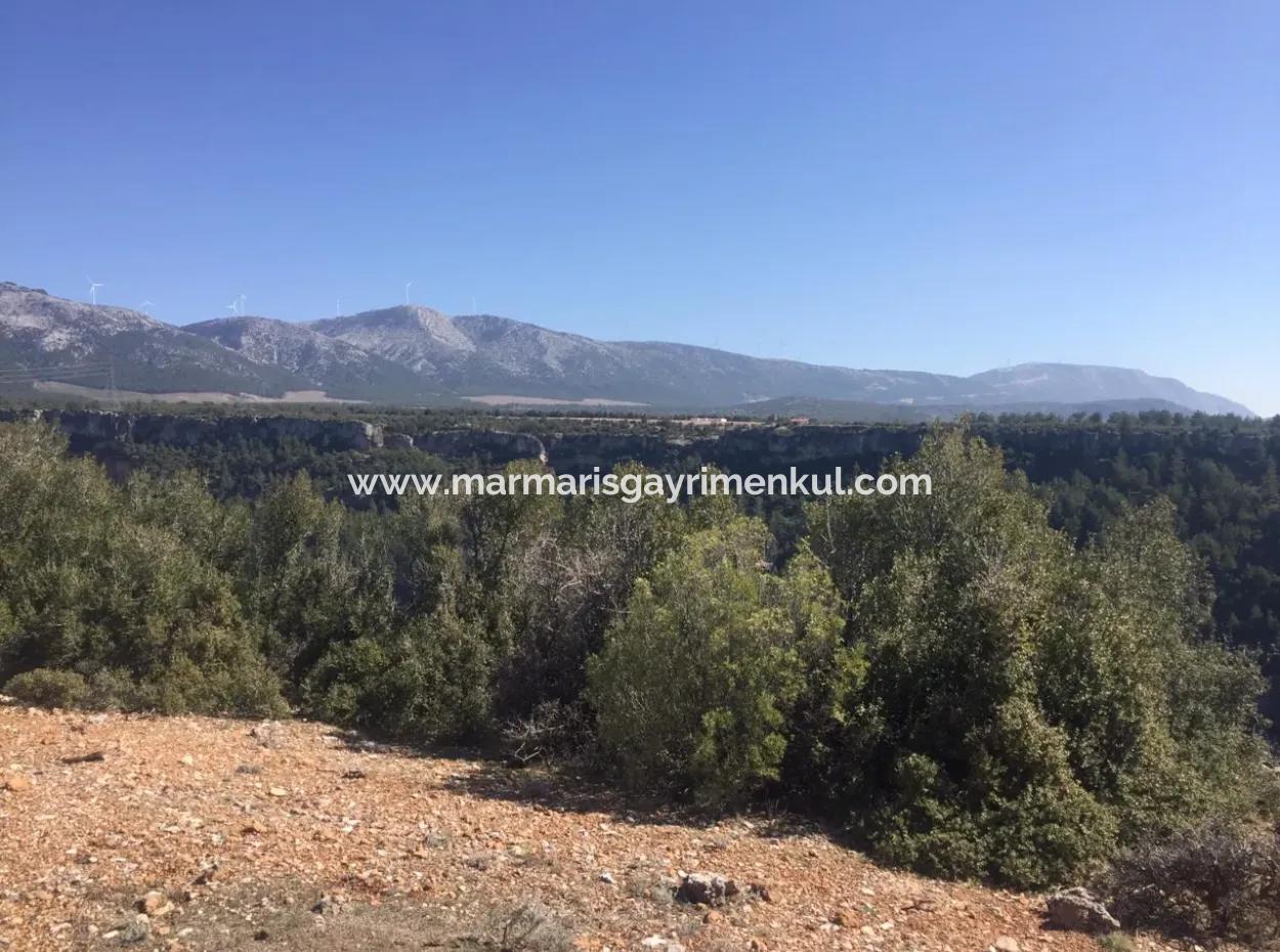 The 200000M2 Almond Garden Is For Sale In The Center Of Mugla.