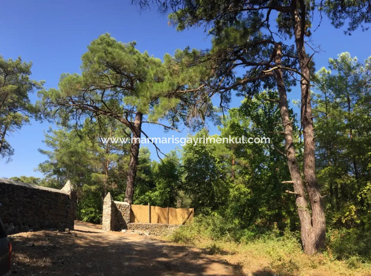 Land For Sale Suitable For Bungalow Hotel In 7500M2 Plot In Bördübet Bay