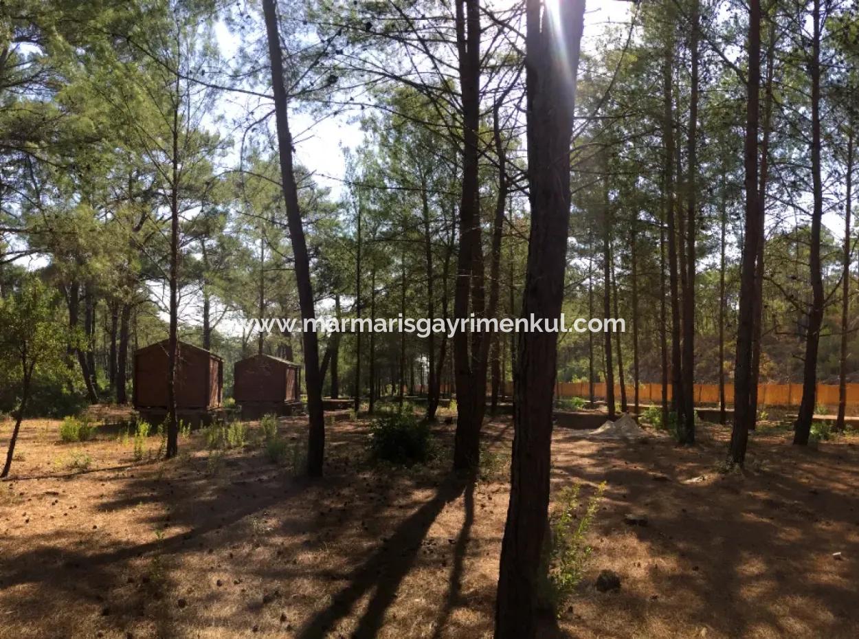 Land For Sale Suitable For Bungalow Hotel In 7500M2 Plot In Bördübet Bay