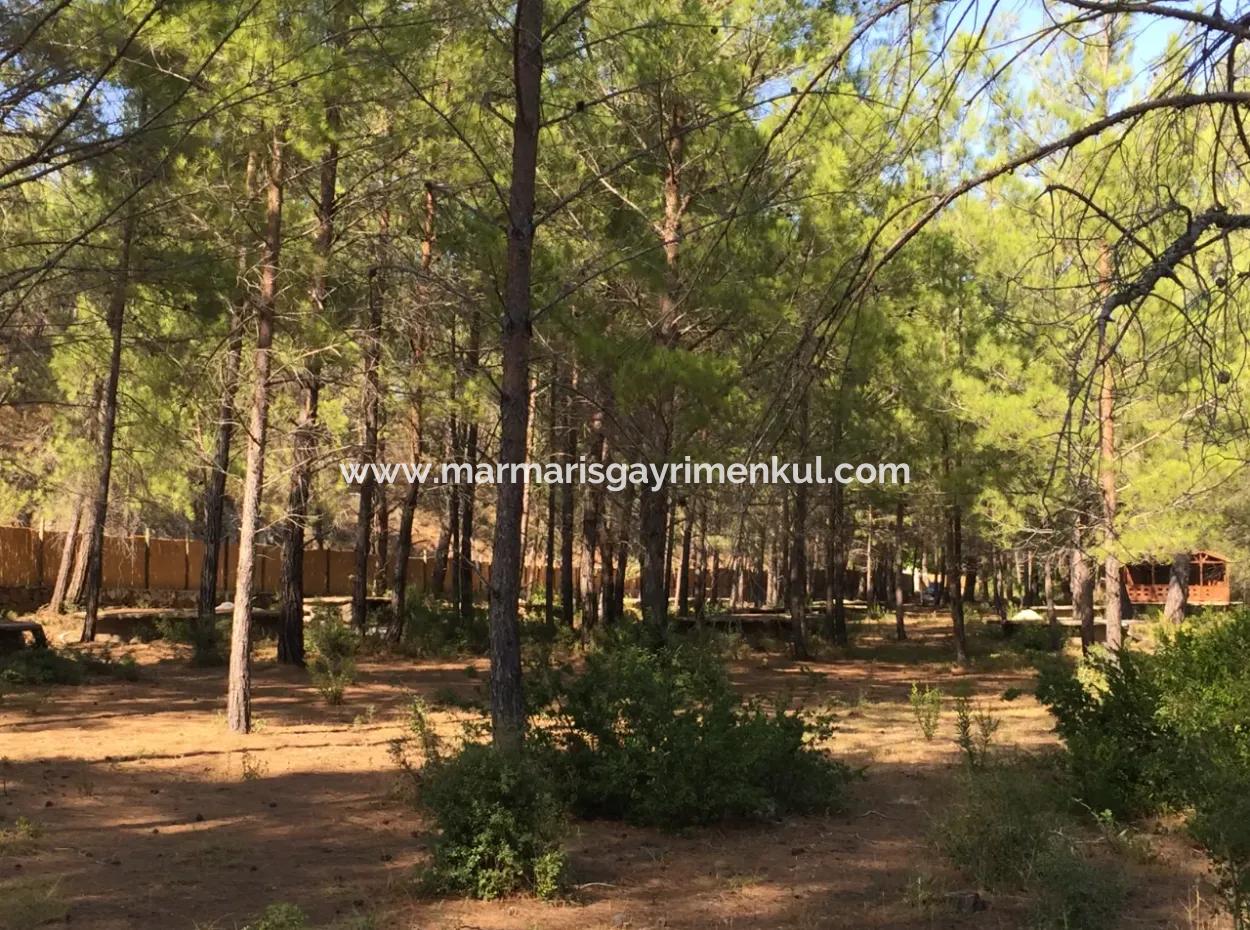 Land For Sale Suitable For Bungalow Hotel In 7500M2 Plot In Bördübet Bay