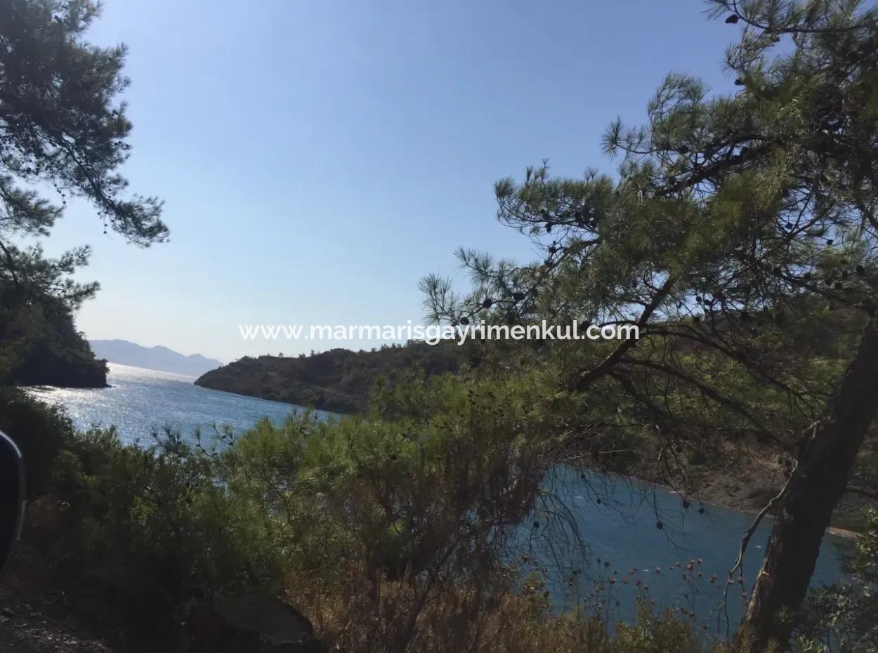 Land For Sale Suitable For Bungalow Hotel In 7500M2 Plot In Bördübet Bay