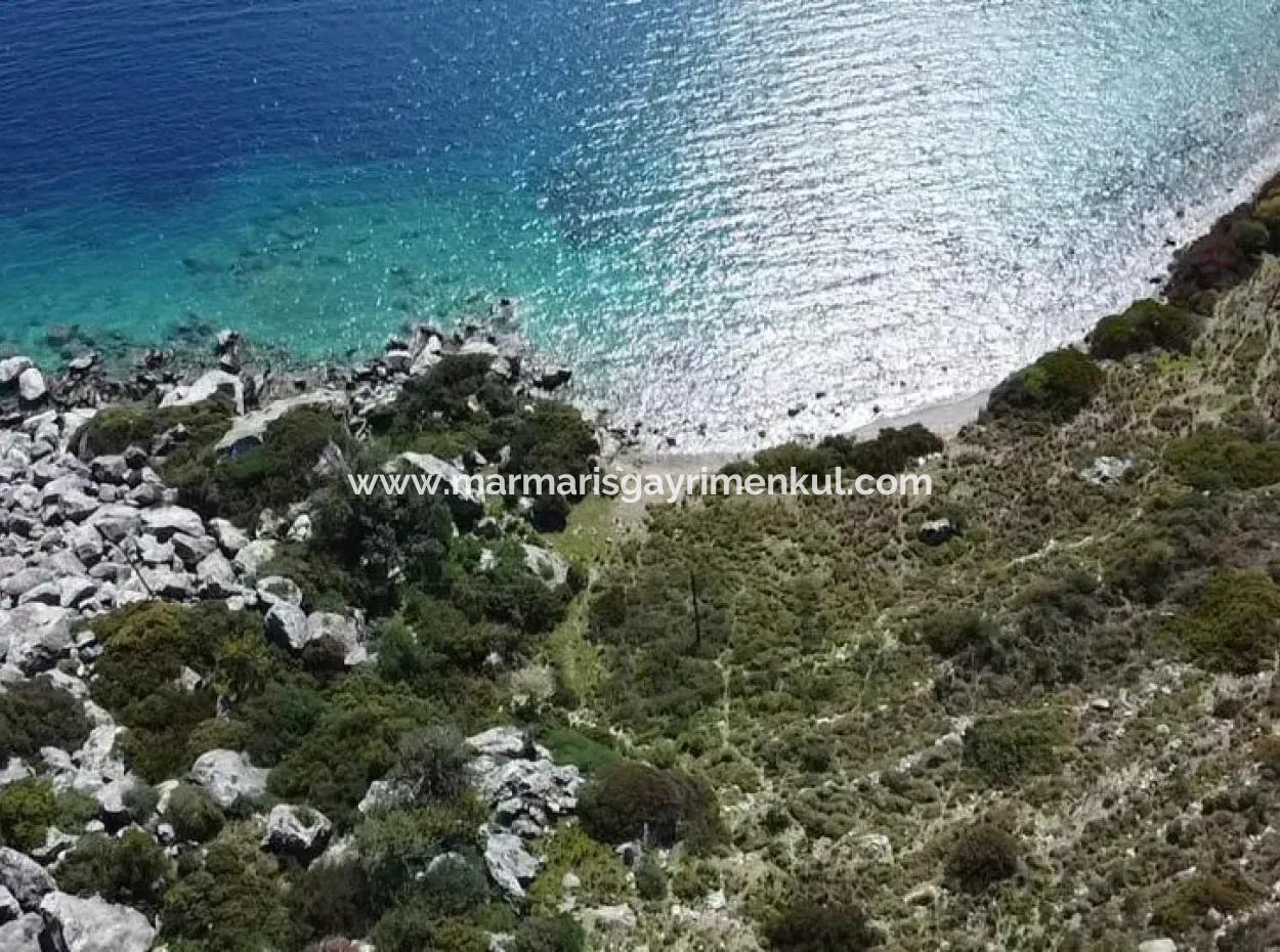 Sea View Land For Sale In Söğüt Village Of Marmaris District, Suitable For Investment 50 Meters From The Sea