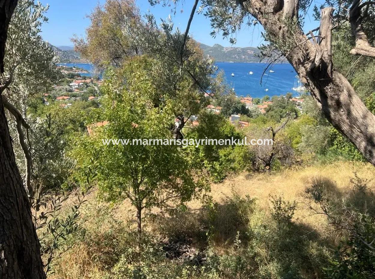 Land For Sale In Marmaris Selimiye Neighborhood With Sea View 5200M2 Suitable For The Construction Of 2 Villas Or Hotel Construction