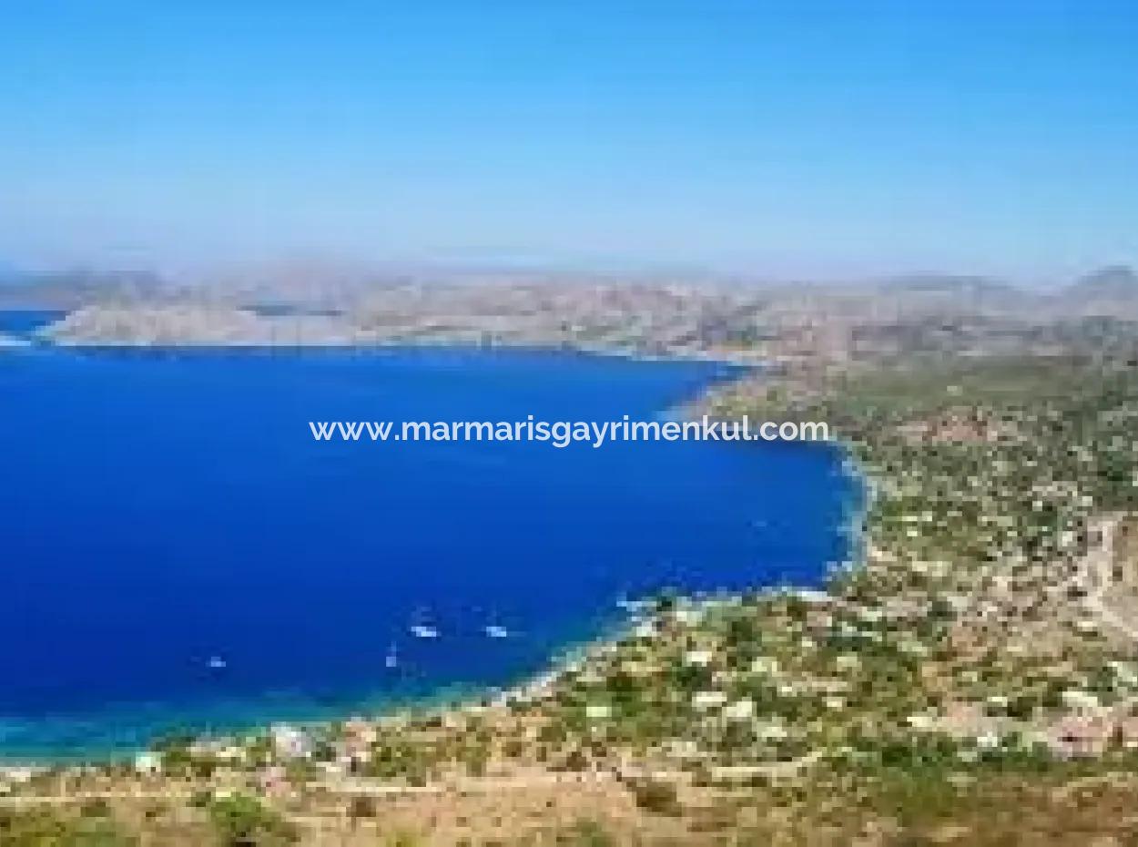 1600 M2 Bay By The Sea In Söğüt Neighborhood Of Marmaris District From Real Estate Agent