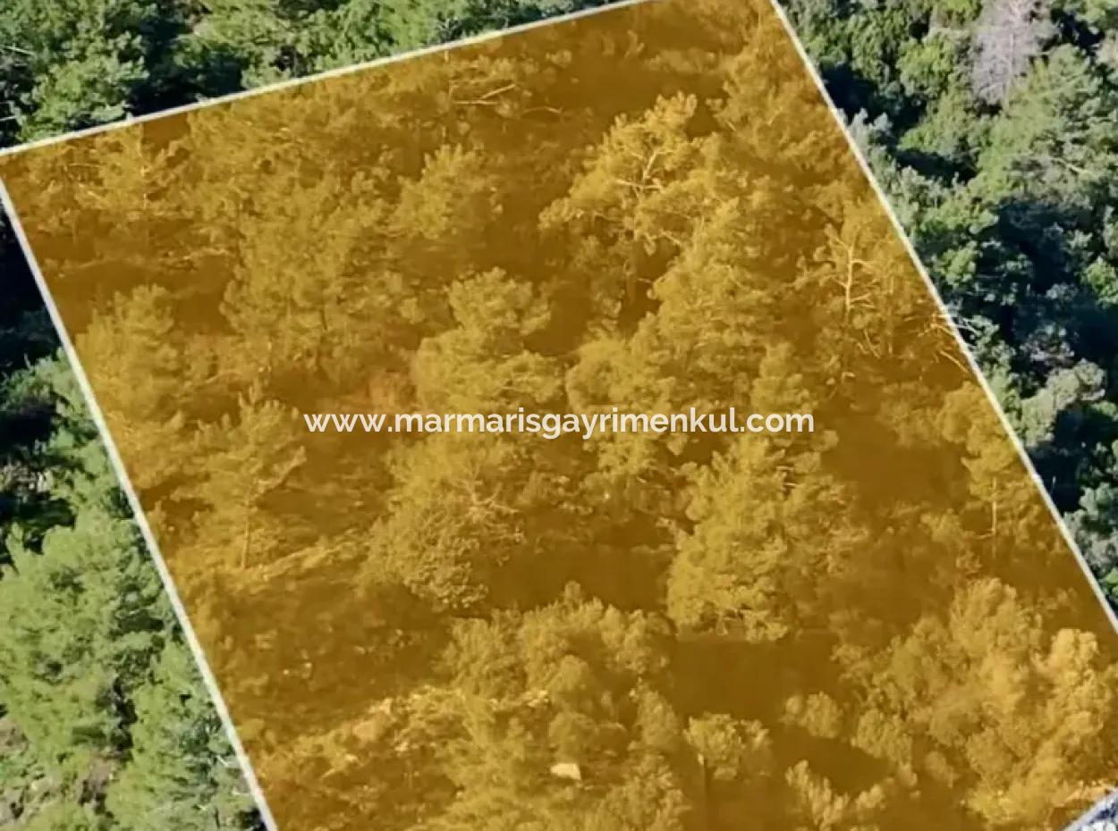 Marmaris District Turunc Neighborhood Seaside 2354M2 Land For Sale