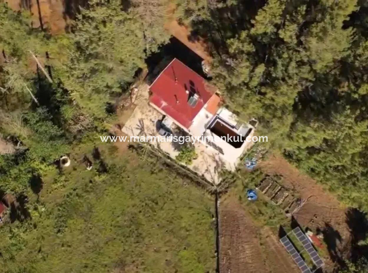 Ortaca Neighborhood For Sale 10.000 M2 Custom Made Farmhouse With Pool