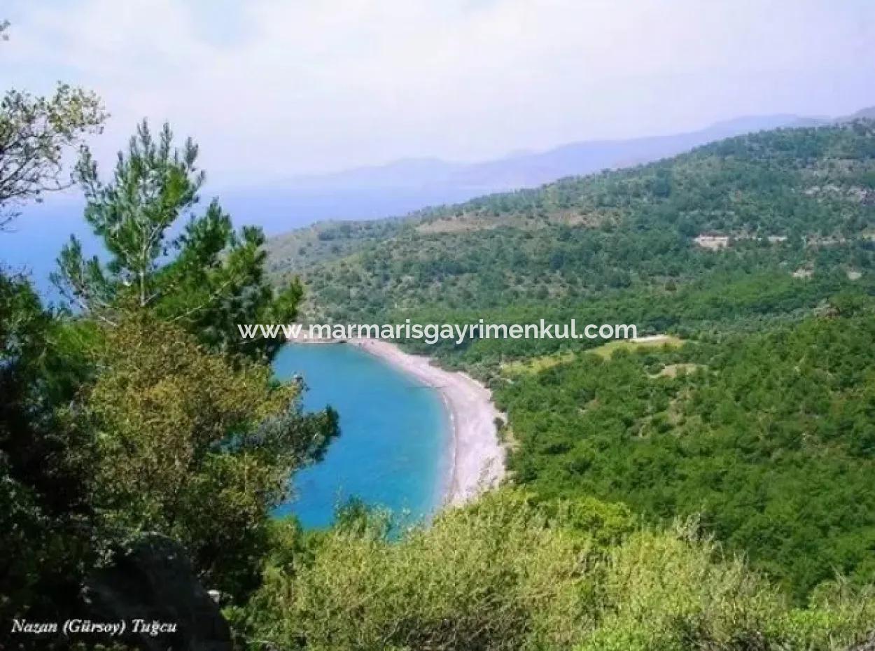 Built On A Plot Of 100000M2 For Sale In 60 Km From The Center Of Datca Holiday Village