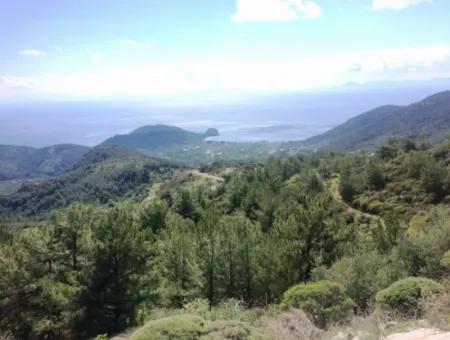 Land For Sale With Sea View With 52000M2 Parcel In Mugla Province Datca District Masoudye Neighborhood