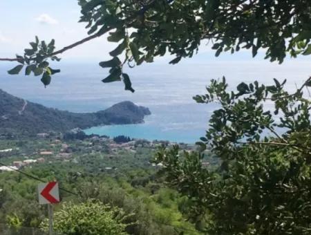 Land For Sale With Sea View With 52000M2 Parcel In Mugla Province Datca District Masoudye Neighborhood
