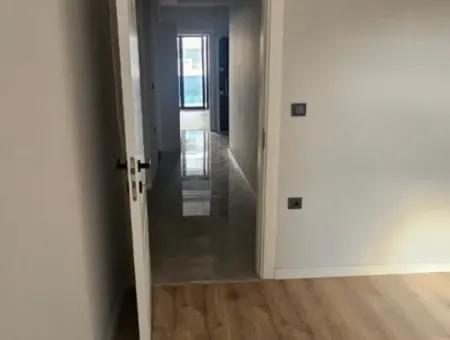 Siteler Neighborhood 2 1 Detached Garden Flat For Sale