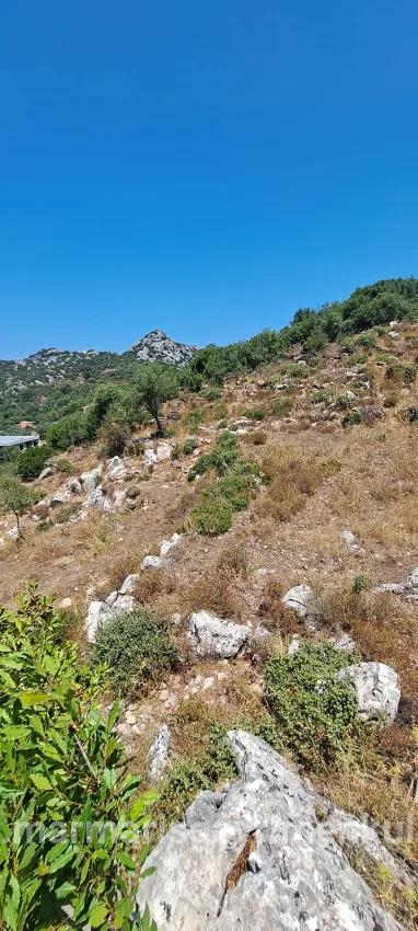 Marmaris Selimiye Mah. Satılık Tarla - Tarla İmar Durumlu - 773 m²