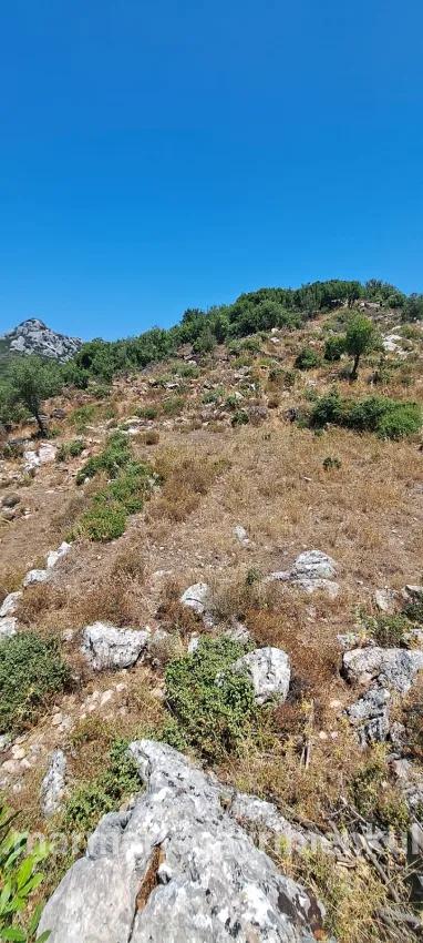 Marmaris Selimiye köyünde yatırım İçin uygun 773 m2 satılık tarla