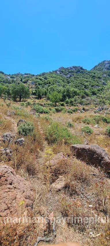 Marmaris Selimiye köyünde yatırım İçin uygun 773 m2 satılık tarla