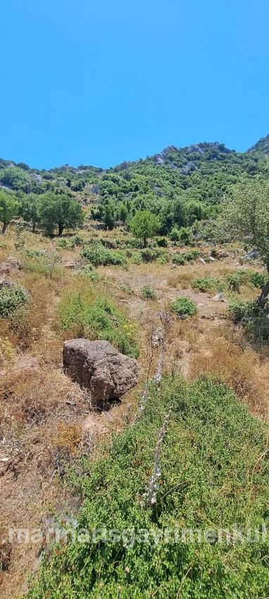Marmaris Selimiye köyünde yatırım İçin uygun 773 m2 satılık tarla