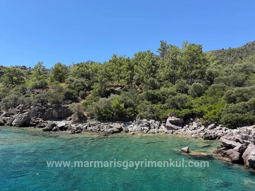 Marmaris Turunç koyunda denize sıfır 4700 m2 kontrollü kullanım alanı