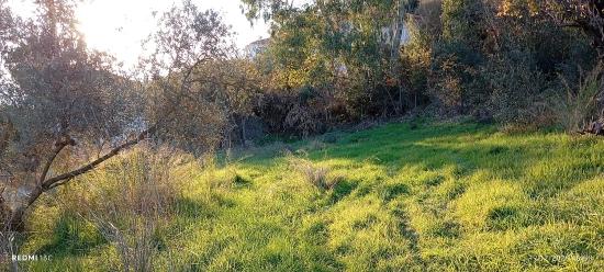 Akyaka,ya 8 Km Uzaklıkta 15 Odalı Villa Projesi Çizilmiş 1186 M2 Satılık Arsa