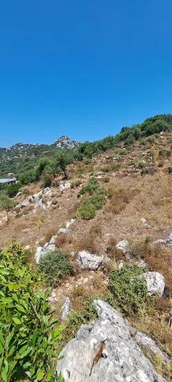 Marmaris Selimiye köyünde yatırım İçin uygun 773 m2 satılık tarla
