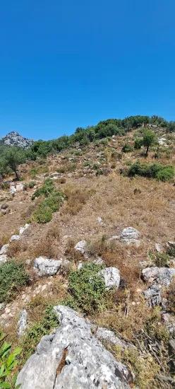 Marmaris Selimiye köyünde yatırım İçin uygun 773 m2 satılık tarla