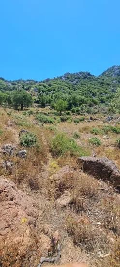 Marmaris Selimiye köyünde yatırım İçin uygun 773 m2 satılık tarla