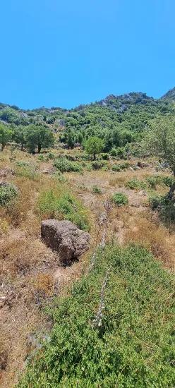 Marmaris Selimiye köyünde yatırım İçin uygun 773 m2 satılık tarla