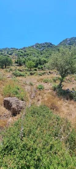 Marmaris Selimiye köyünde yatırım İçin uygun 773 m2 satılık tarla