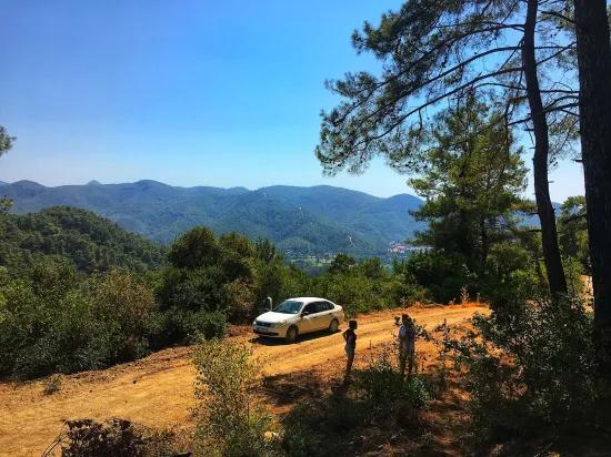 Marmaris Çetibelinde orman İçerisinde 13.500 m2 Özel kullanım alanı