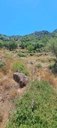 Marmaris Selimiye Mah. Satılık Tarla - Tarla İmar Durumlu - 773 m²
