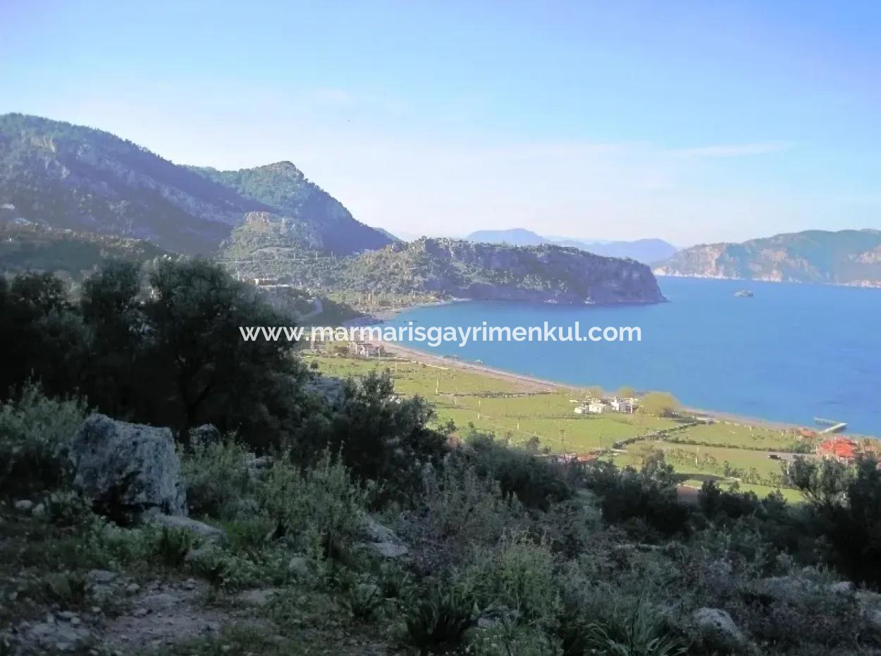 Kumlubük Koyunda Denize Sıfır 21000M2 Marina Ve Otel Arsası Satılık
