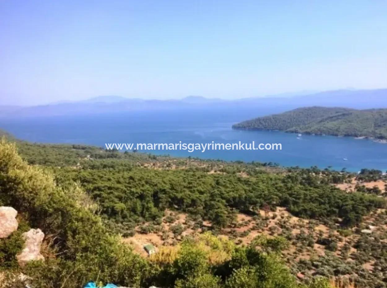 mugla mentese satilik arsa emlak fiyatlari ve arsa emlak ilanlari