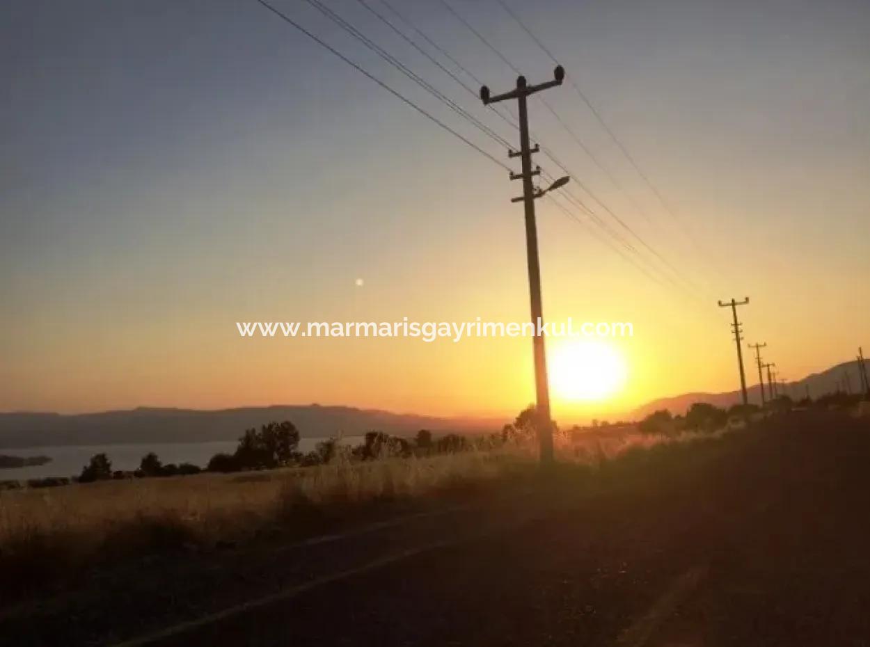 Köyceğiz İlçesi Zeytinalanı Mahallesi 19000M2 Satılık Göl Manzaralı Arsa