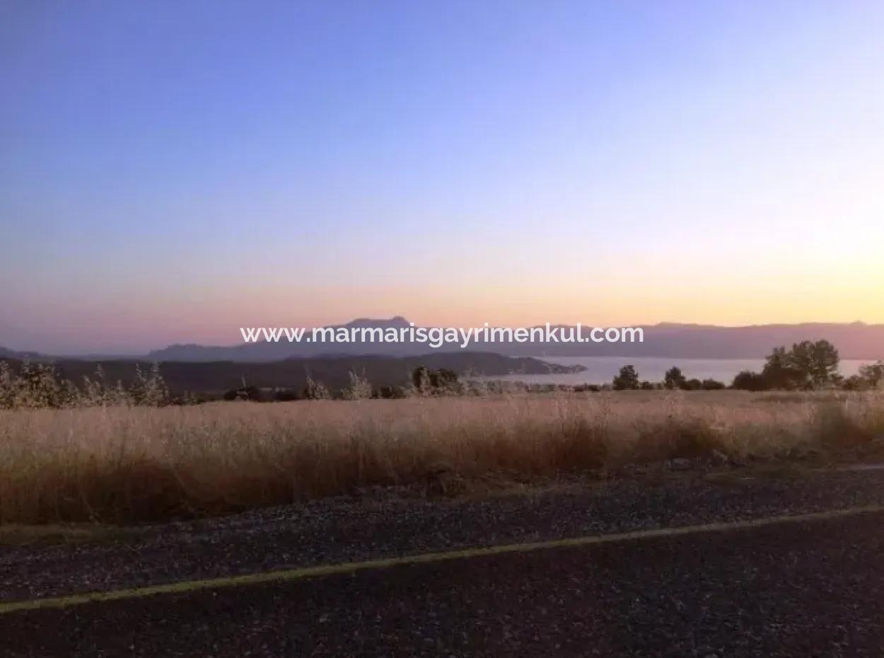 Köyceğiz İlçesi Zeytinalanı Mahallesi 19000M2 Satılık Göl Manzaralı Arsa